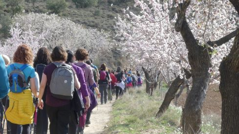 Doscientas Personas Marchan Por Nueno Con El Coraz N En Etiop A