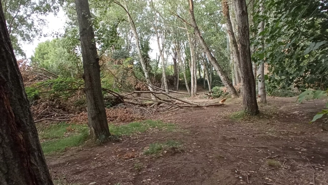 Imagen de una zona afectada por la tormenta en Fuentes de Marcelo.