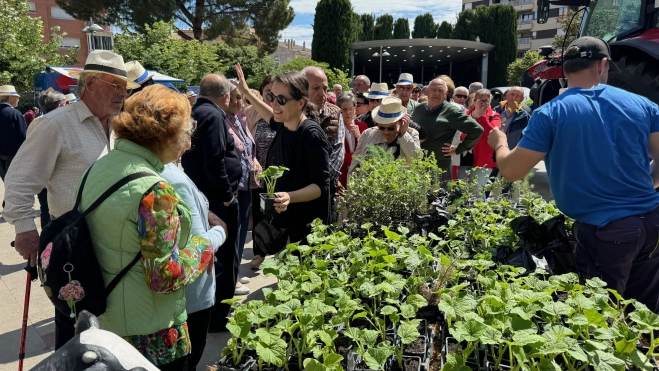 Reparto de plantas en la festividad de San Isidro.