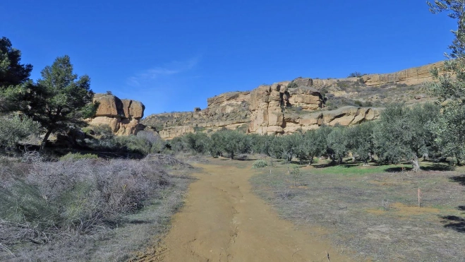 Rincon del Olivar de Alberuela de Tubo.