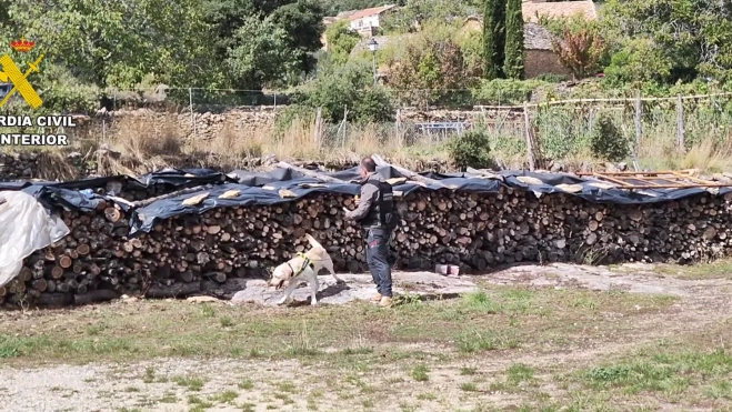 La Unidad Canina participó en el registro de las propiedades del detenido en el Sobrarbe.