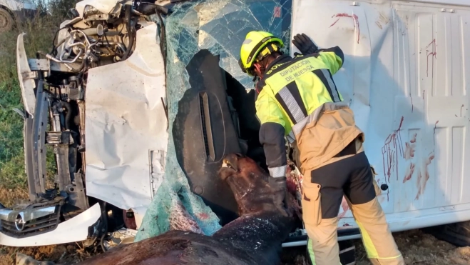 Los bomberos actúan en el accidente