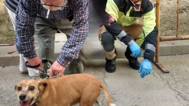 El perro, ya liberado y sus propietarios felices