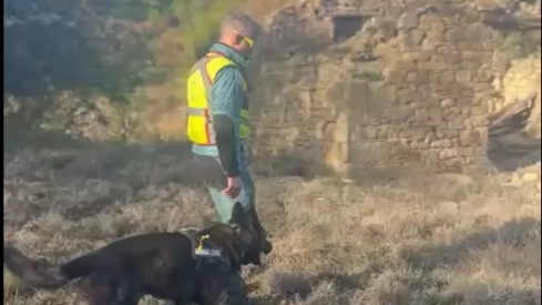 El Greim de Benasque rastrea la zona con un perro de búsqueda de personas.