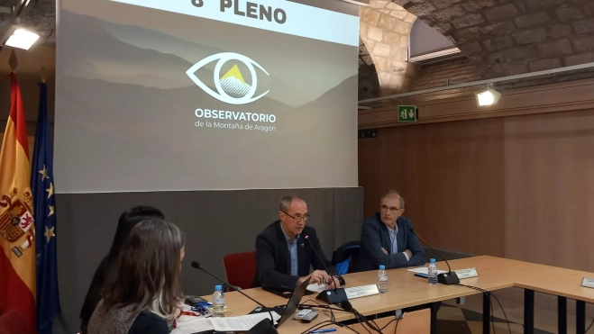 Miguel Ángel Clavero y Javier Franco, presidente y vicepresidente del OMA, en el 8º Pleno, celebrado este miércoles.