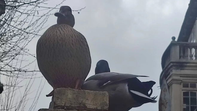 Imagen de WhatsApp 2025 04 05 a las 21.59.13 6849ffa1 Imagen de WhatsApp 2025 04 05 a las 21.59.13 6849ffa1